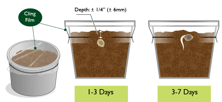 small ceramic planter pots The Sill Grant Planter & POS, Small in Black